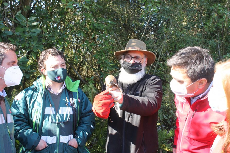 Delegado Presidencial Provincial de Linares participó en liberación de especies en Longaví