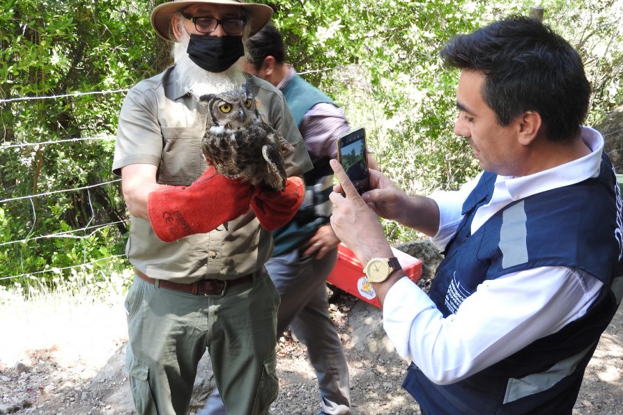 Delegado Presidencial Pablo Sepúlveda asiste a liberación de especies rescatadas