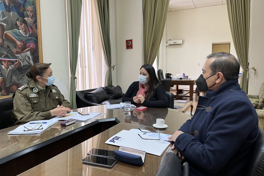 Delegada Priscila González lideró el primer Comité Policial Provincial