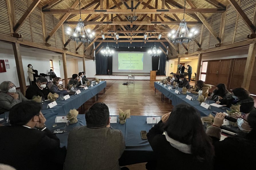 Provincia de Linares albergó por primera vez un Gabinete Regional