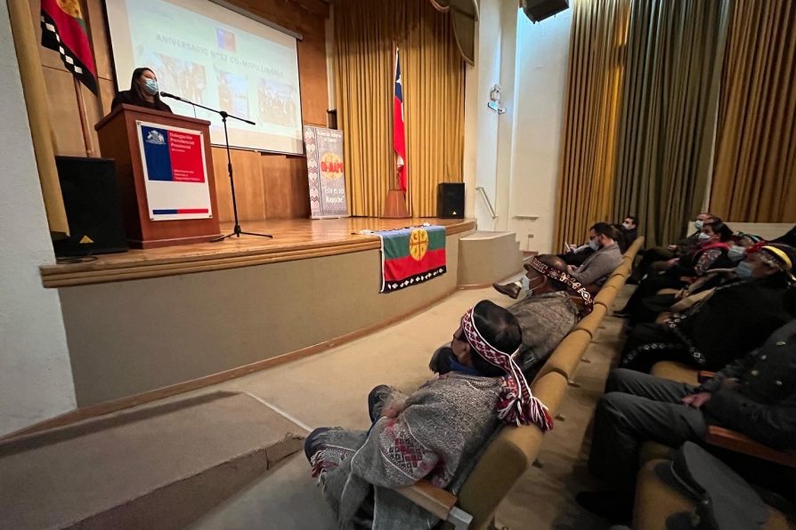 CO-MAPU Linares celebró sus 17 años en la Delegación Presidencial Provincial de Linares