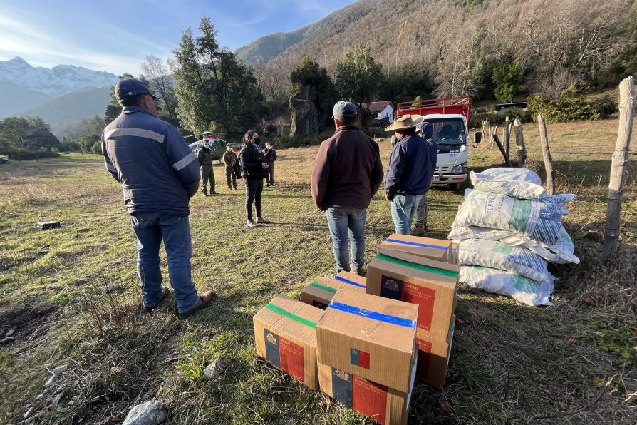 Delegación Presidencial Provincial de Linares llevó ayuda a vecinos de cajón de Ancoa