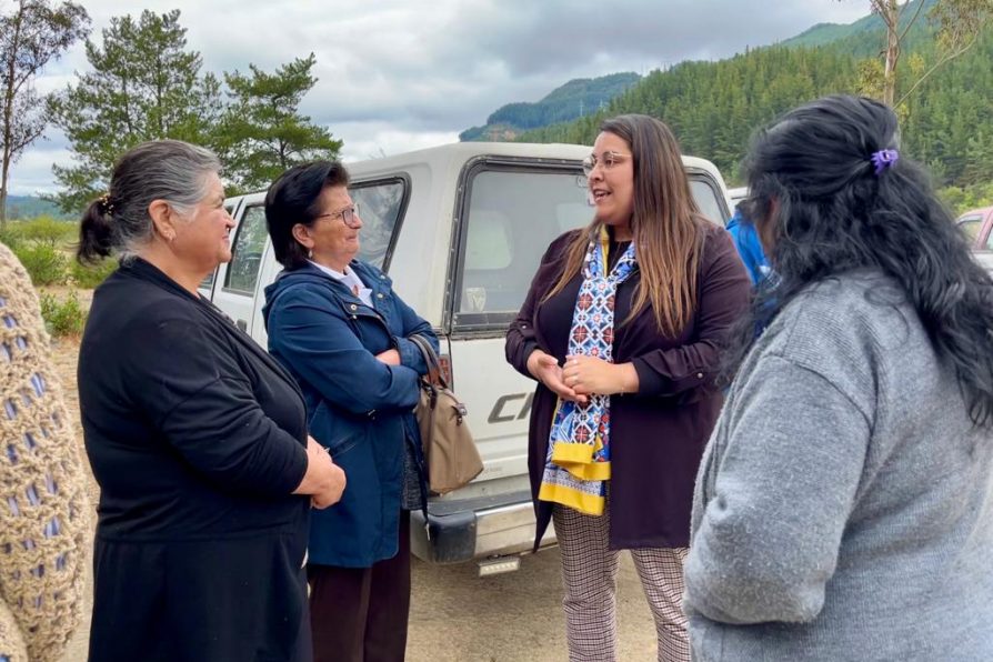 Delegada González destaca conjunto de medidas económicas que implementará el Gobierno: “Van en directo apoyo de las familias”