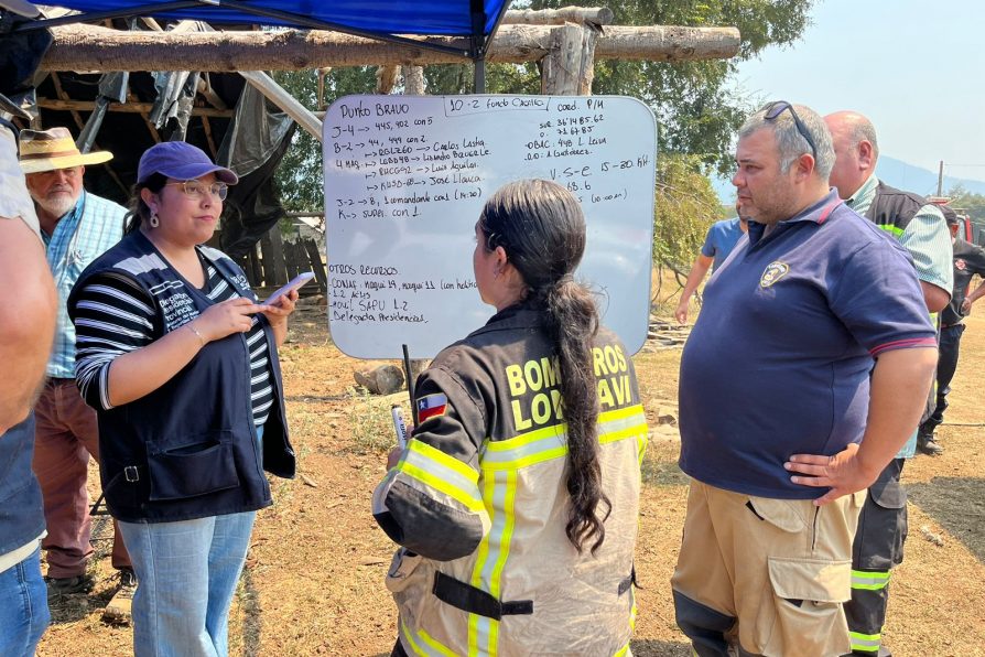 Gobierno despliega trabajo en terreno para enfrentar la emergencia por incendios forestales