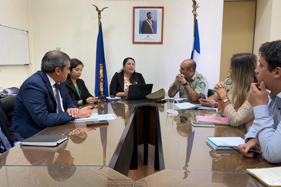 Gobierno y policías buscas desarrollar estrategias de seguridad junto a la Municipalidad de Linares