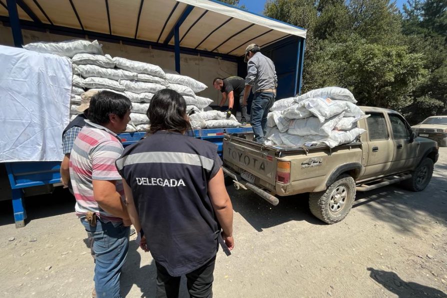 Vecinos y vecinas de Longaví afectados por el incendio de Río Blanco recibieron ayuda del Gobierno