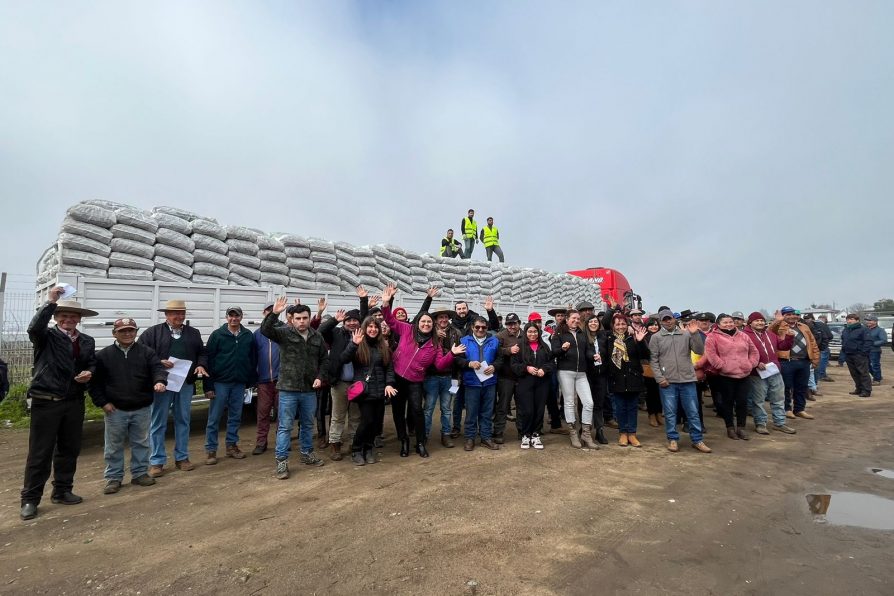 Gobierno entrega más de 4.000 sacos de alimento concentrado para animales de agricultores No INDAP afectados por temporales en Linares