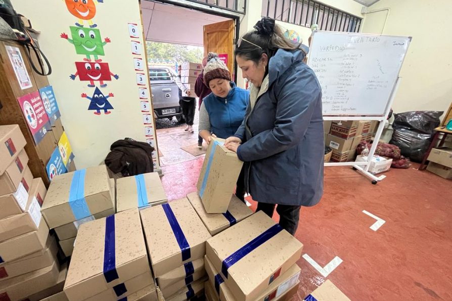 Más de 1500 cajas de alimentos y otros enseres ha entregado la Delegación Presidencial Provincial de Linares