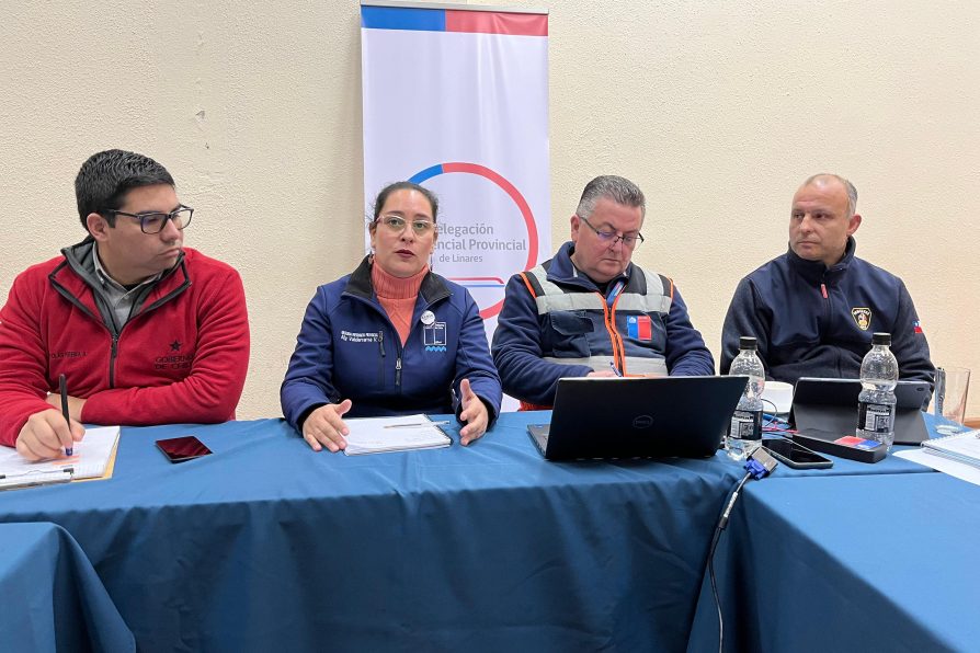 Linares: Delegada Presidencial Provincial encabezó reunión de Comité de Emergencias COGRID