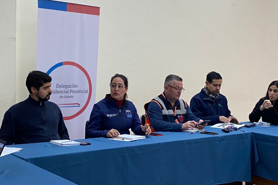 Delegada Presidencial Aly Valderrama refuerza coordinación preventiva ante llegada del invierno en un nuevo COGRID