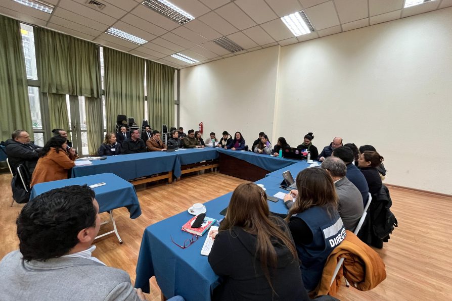 Delegada Aly Valderrama encabeza Mesa de Seguridad Provincial en Salud para reforzar medidas de resguardo para funcionarias y funcionarios