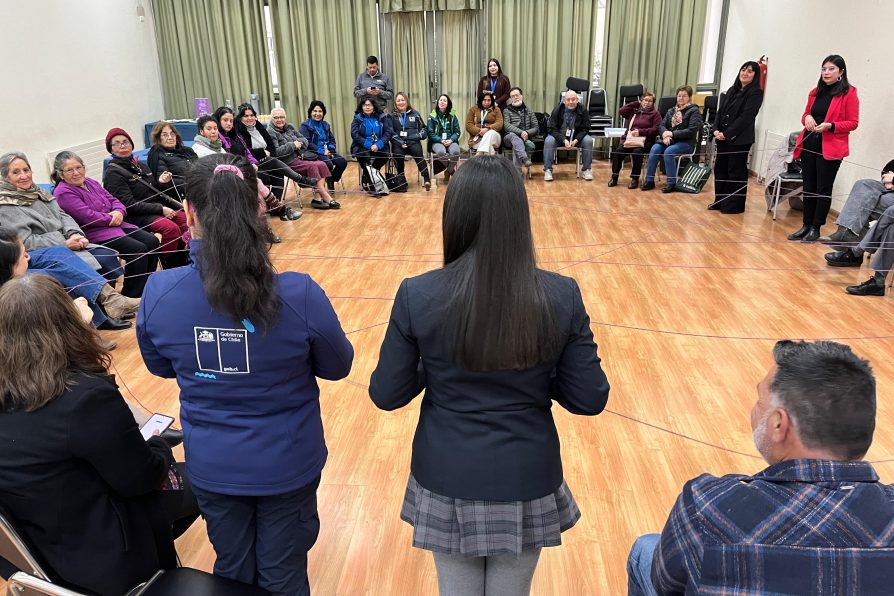 Delegación Presidencial Provincial de Linares realiza primer Mapeo Territorial para la Prevención de las violencias de género con amplia participación