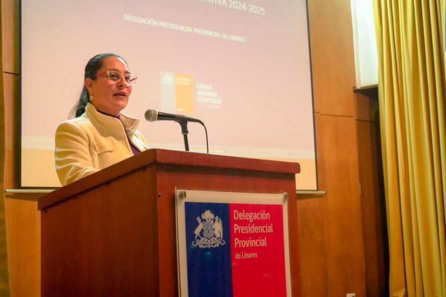 Delegada Valderrama rinde su última Cuenta Pública: “Seguiremos trabajando hasta el último día, con la misma convicción de siempre”