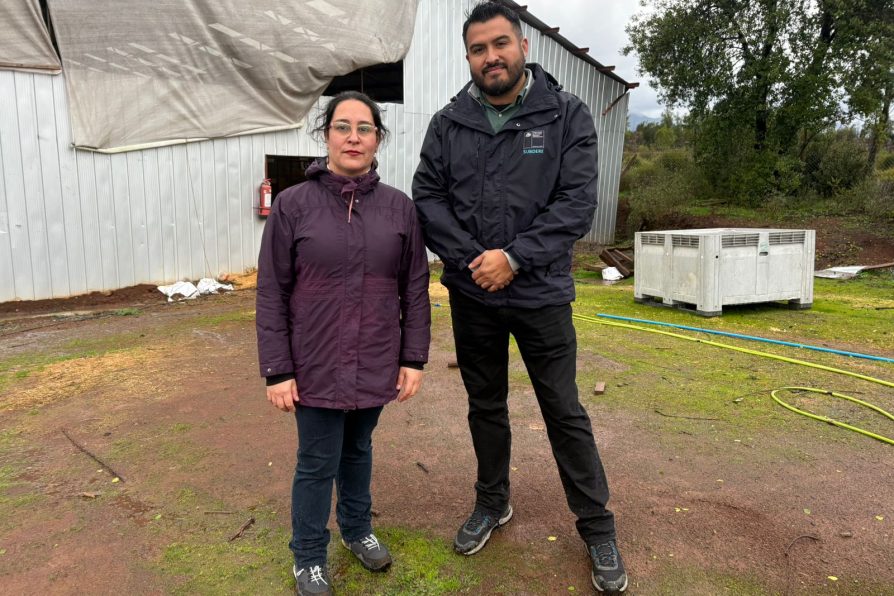 Delegada Aly Valderrama realiza visita inspectiva a perrera municipal de Linares junto a Subdere tras denuncias ciudadanas