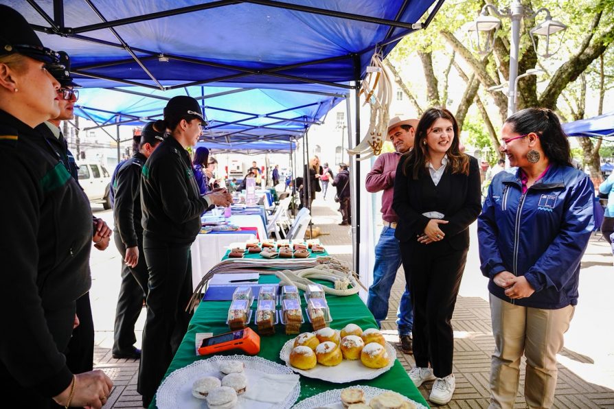 Más de 15 servicios públicos participaron de una nueva Plazoleta Ciudadana en Linares