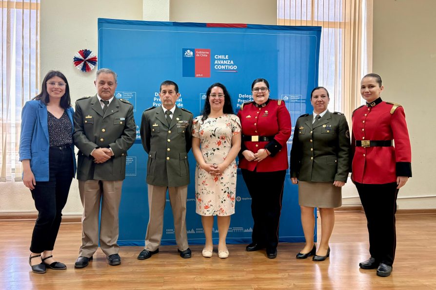Delegación Presidencial Provincial de Linares realizó ceremonia de cierre del Componente 1 del Programa de Prevención de las Violencias de Género