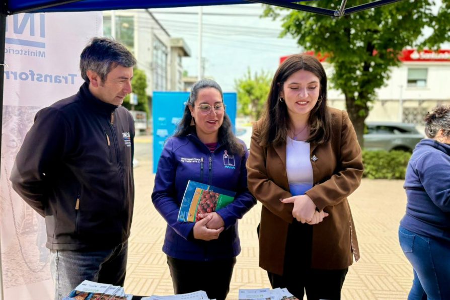 Tras exitoso Gobierno en Terreno en Linares, Delegada anuncia una próxima jornada en Longaví