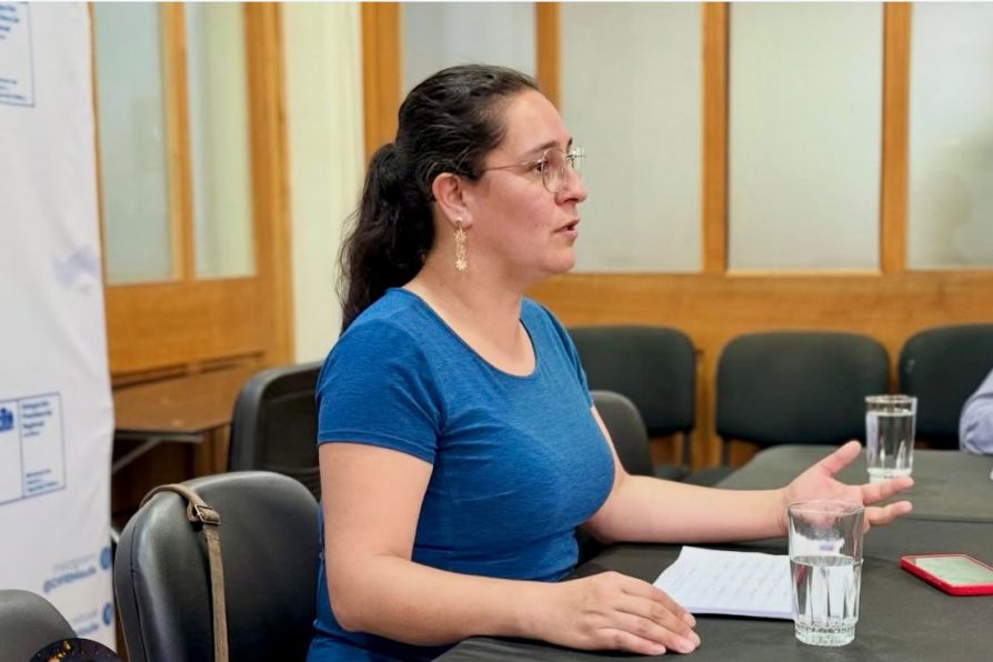 Delegada Aly Valderrama informa por altas temperaturas y variaciones climáticas en la región del Maule