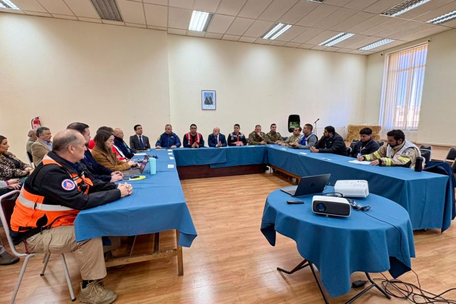 Positivo balance deja simulacro regional de sismo y tsunami en la provincia de Linares
