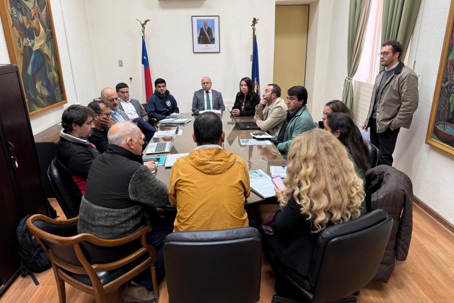 Rápida gestión del Delegado Presidencial Christian González permite acuerdos concretos para mejorar conectividad en sector poniente de Linares