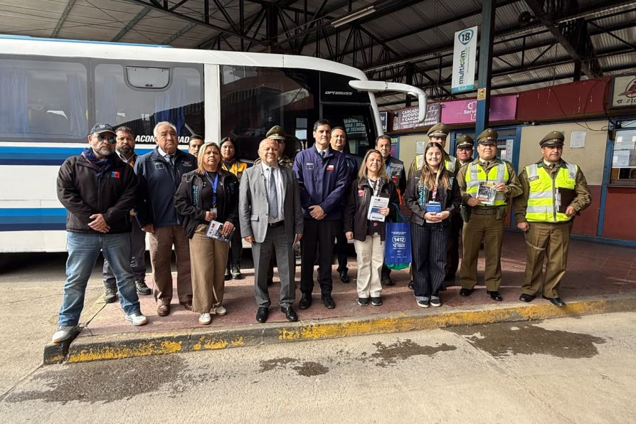 Fiscalizaciones refuerzan seguridad en rutas y terminales de la provincia de Linares durante Fiestas Patrias